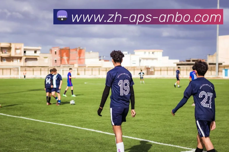 安博体育平台生态图